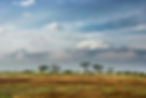 KENYA.jpg