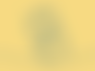 Are TikTok Ads Your Next Marketing Move?