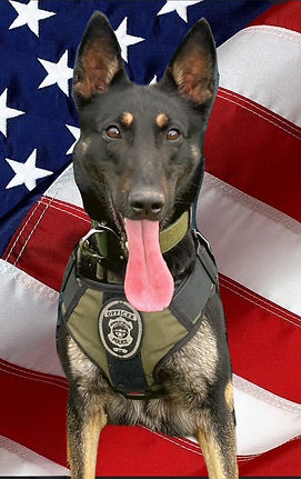 K9 Armour flag photo.jpg