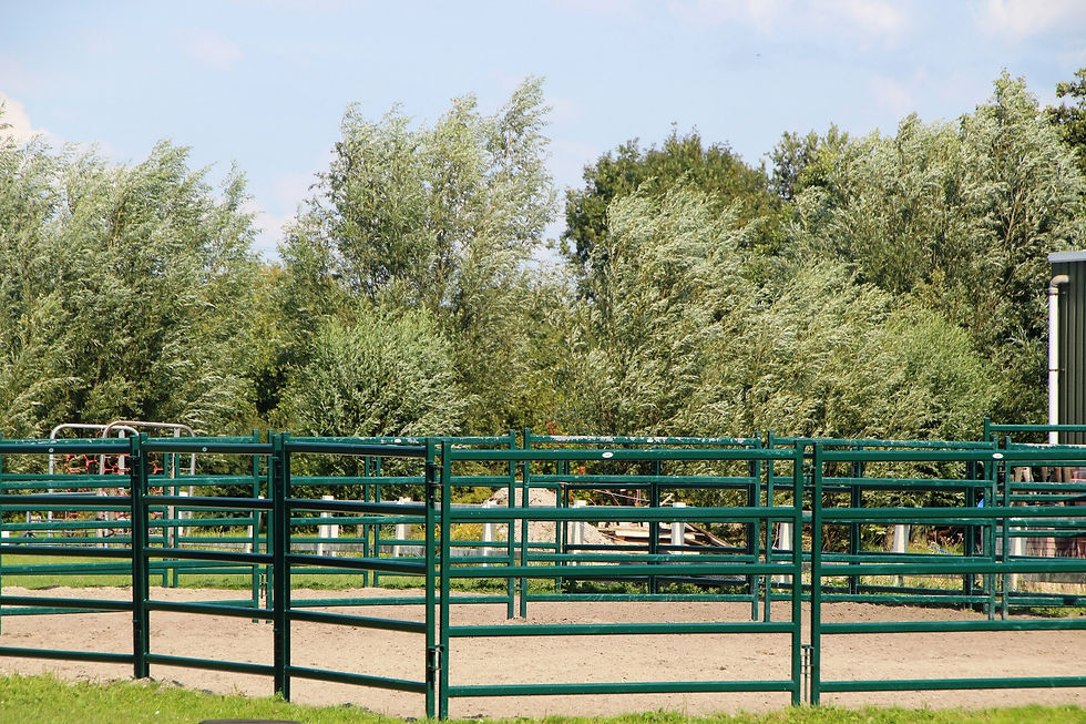 paddock