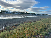IMG_2356.HEIC