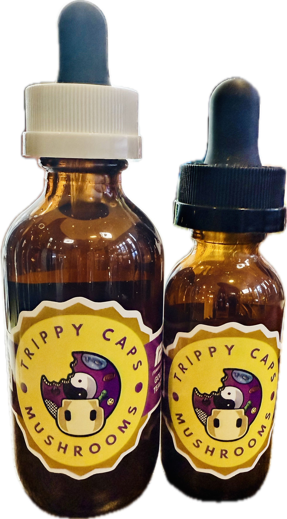 Explore Washington DC's best source of Psilocybin Magic Mushroom Tincture gifts.