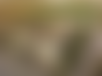 Journey through the architectural marvels that shaped trade, culture, and faith across Anatolia.