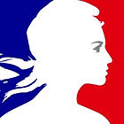 ambassade_de_france_en_chine_logo.jpeg