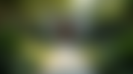 Automation Therapy: Drug-Free Solutions for Stress Management