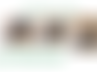 Paravritta Trikonasana