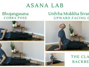 The Classic Backbends