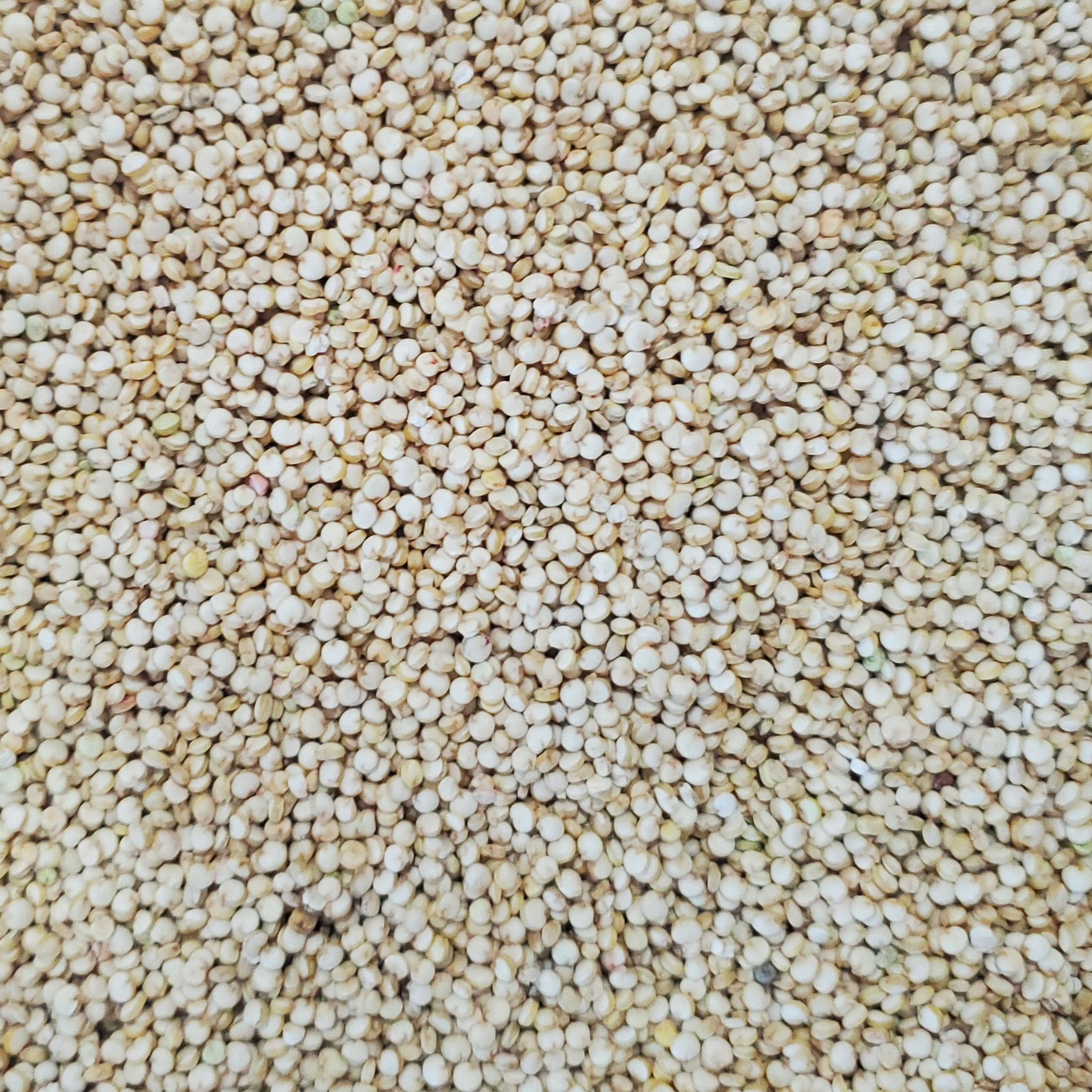 Quinoa (per 100g)