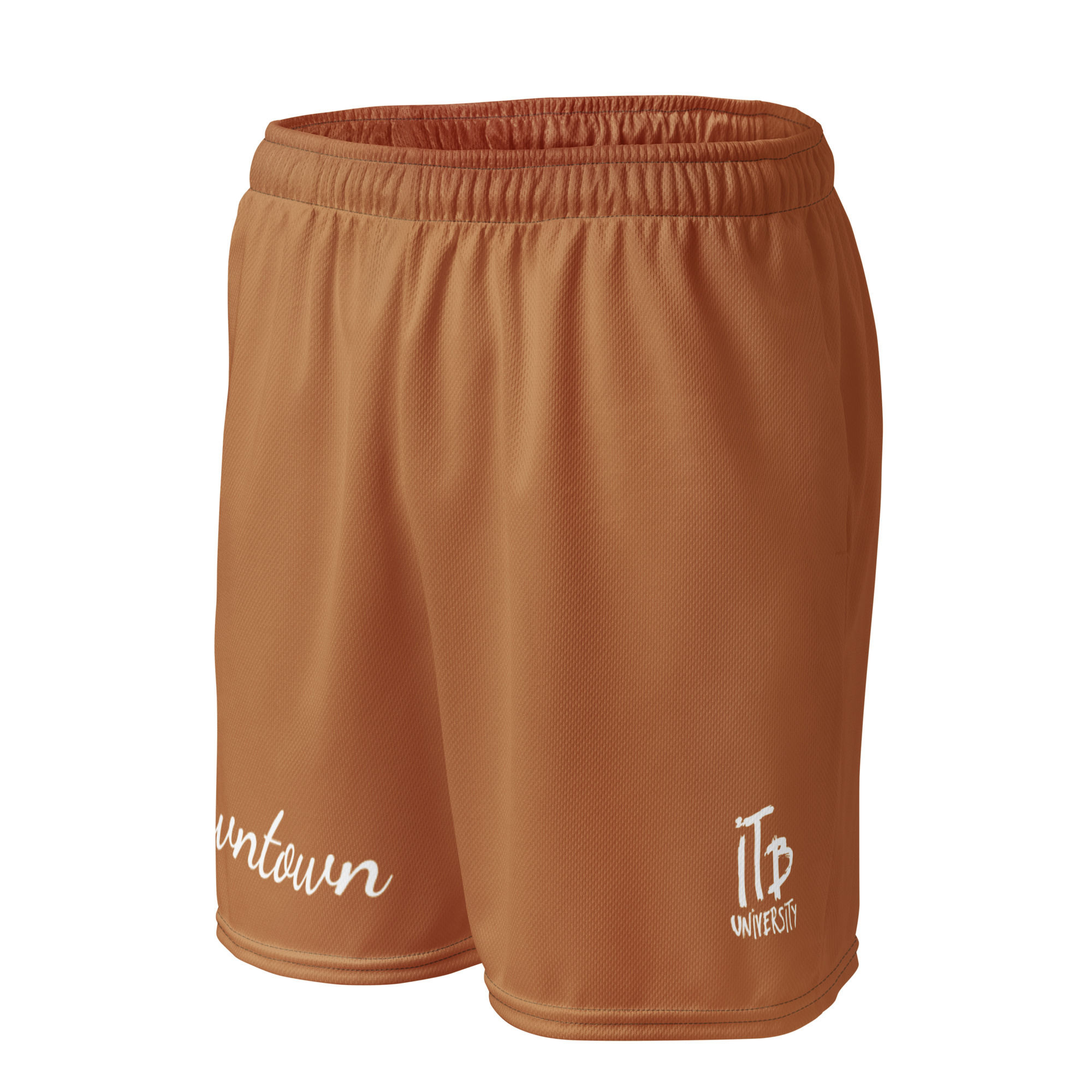 Downtown mesh shorts