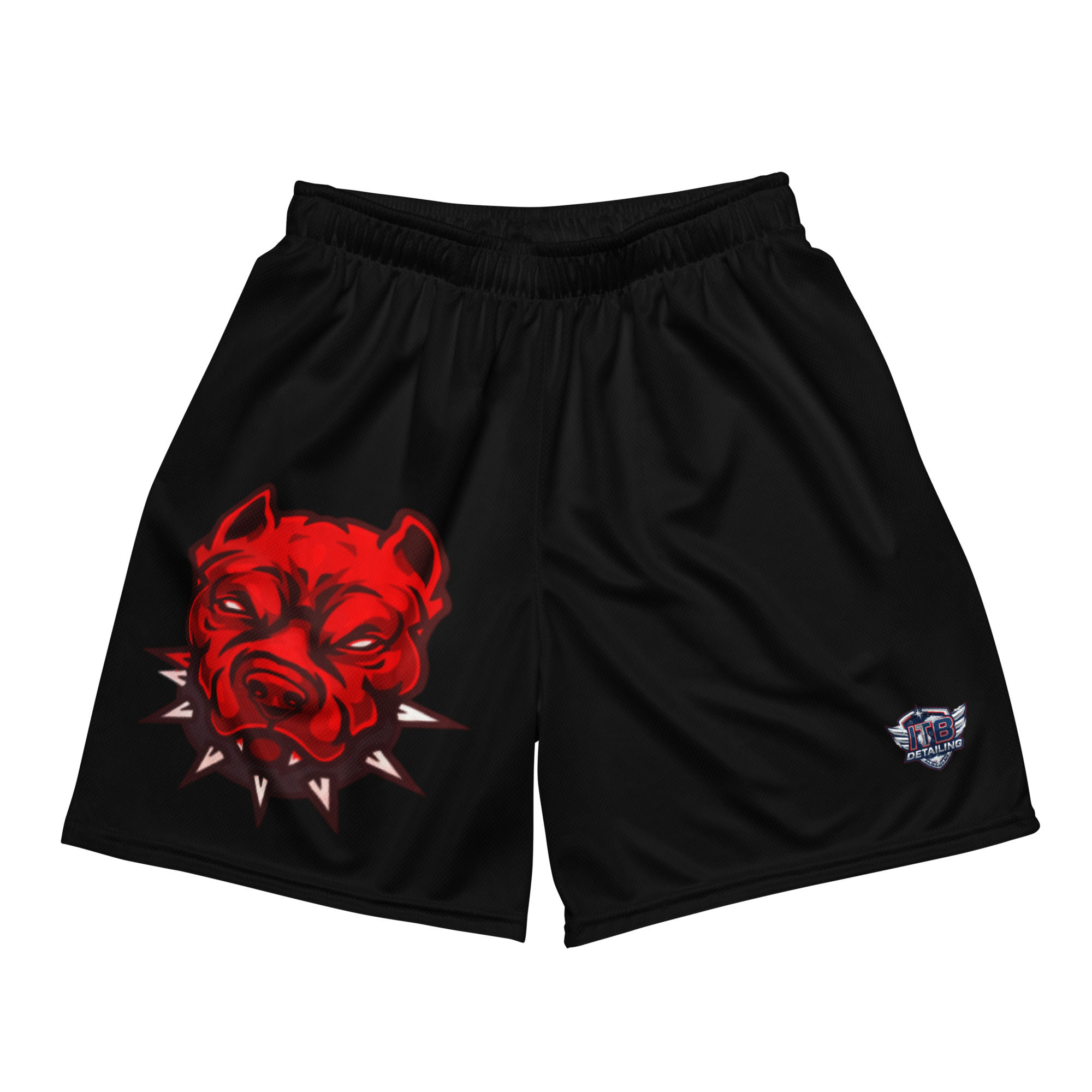 Dawgs mesh shorts