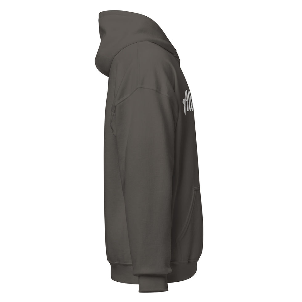 Thumbnail: Albany Hoodie