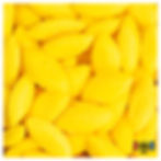 ADVOCAT AM.jpg