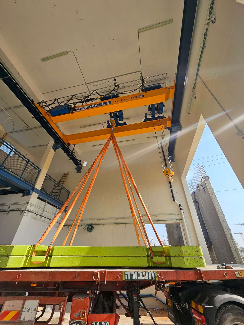 בדיקת עגורן דו קורתי