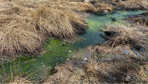 BI fordert Transparenz vom Regierungspräsidium
