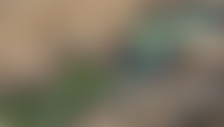 Schockierte Bürger beim Infoforum in Neuhof – Hohe Salzlast entdeckt