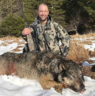 Alaska Wolf Hunt