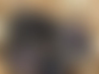 Holiday waitlist spots available!