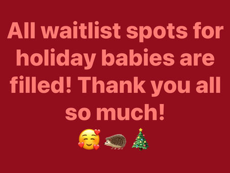 Our waitlist is full for 2025!