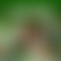 Evite o excesso de Suplementos Alimentares