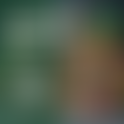 Escolhendo Alimentos Frescos!