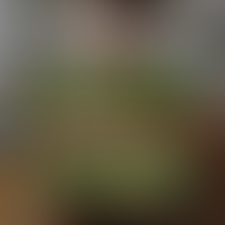 Desinflame seu corpo com uma alimentação saudável