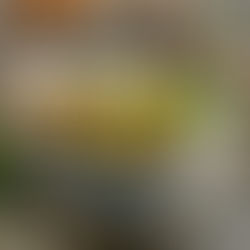 Versatilidade das sopas saudáveis no inverno