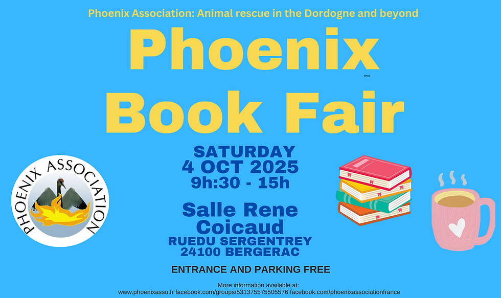 ENGLISH FRENCH Oct 25 Fair Poster Fr.pdf (Blog Banner) (1).png