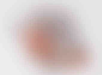 professional newborn photography