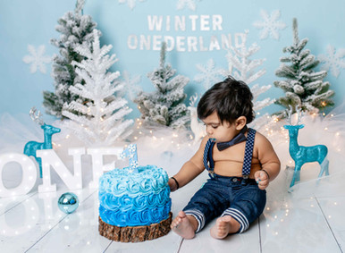 long island cake smash photographer