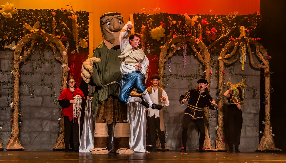 R+H Cinderella Wayne Theatre 