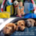 Miniatura: Pet Dog Cat Car Seat Dog Car Seat Belt Safety Protector Travel Pets Accessories