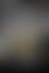 Review - Empire of Lust