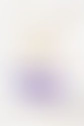 Cover Reveal - King Of Pride