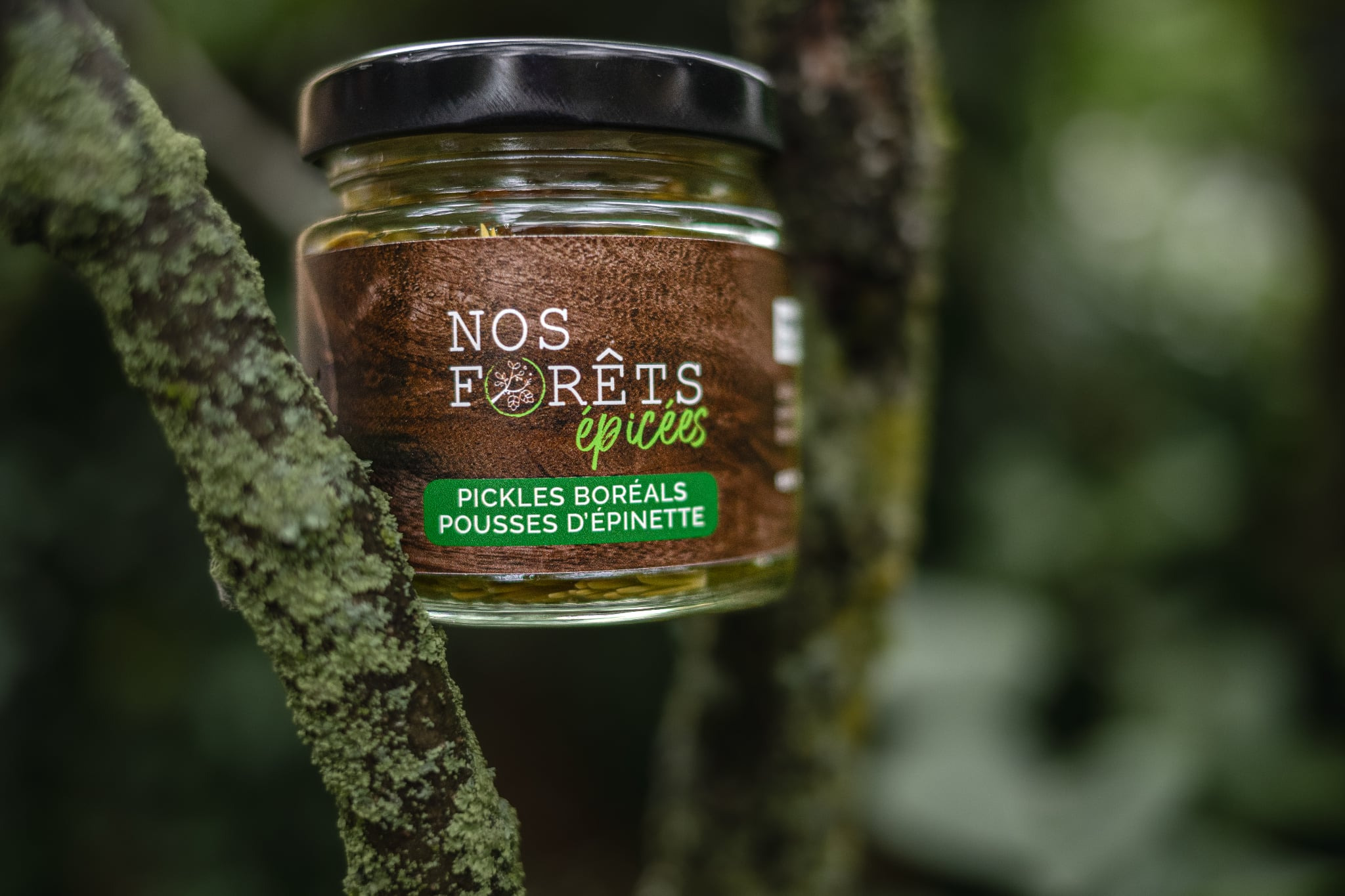 Pickles boréals - Pousses d’épinette