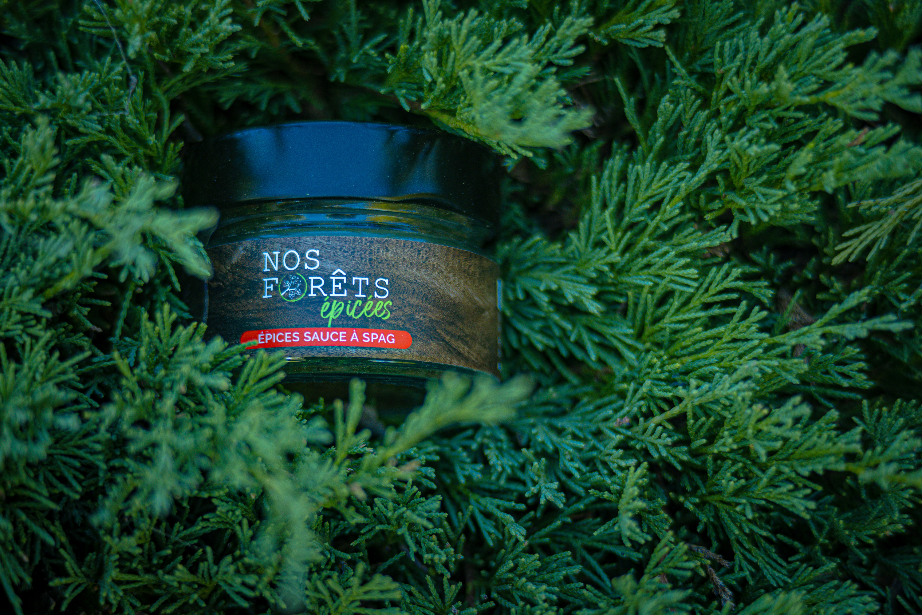 Épices Sauce à spag