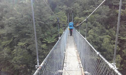 Abel Tasman Great Walk