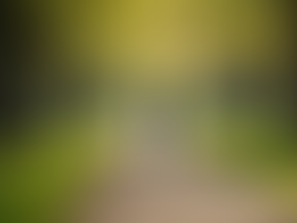 Celebrate National Walking Month with These 10 Health Benefits of Walking