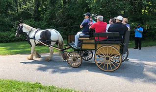 Brian driving SO 7-27-21 side.jpeg