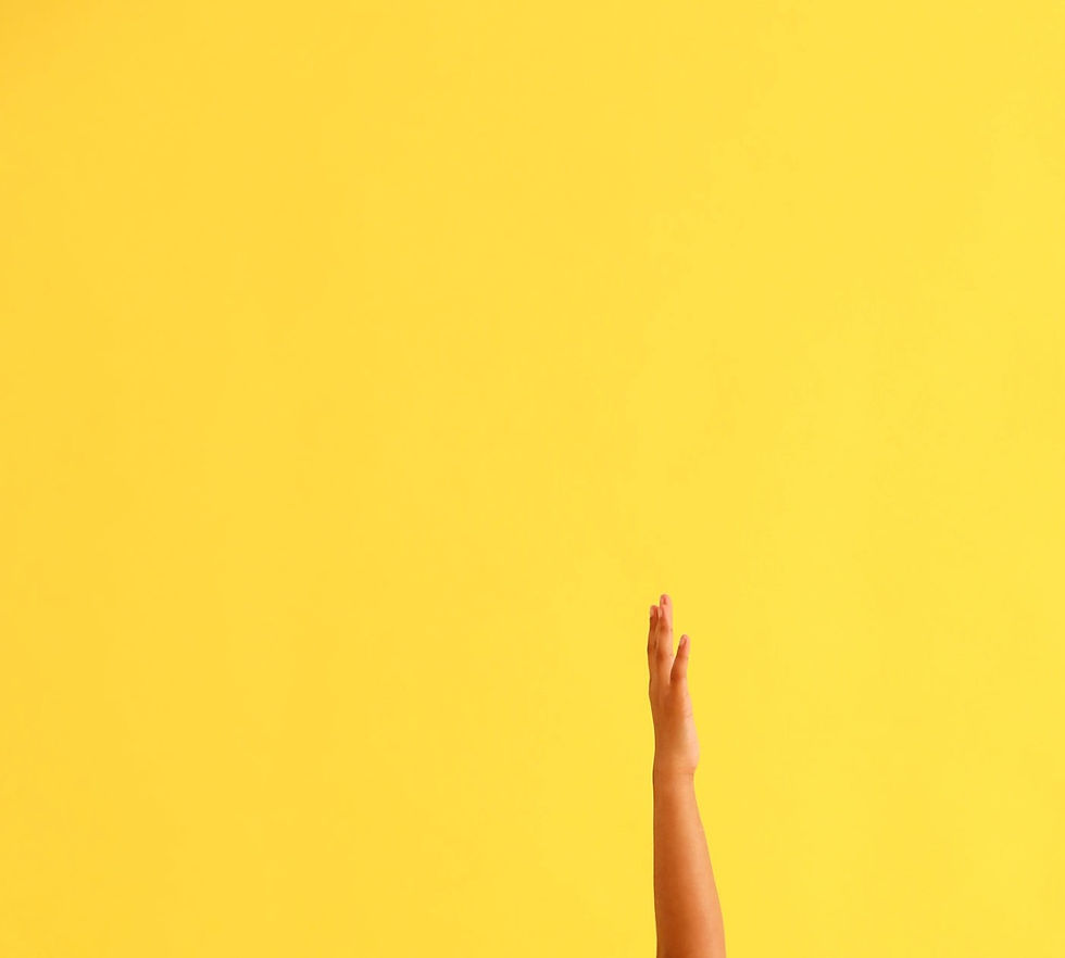 Narrativa 6 - D. Marroquín 