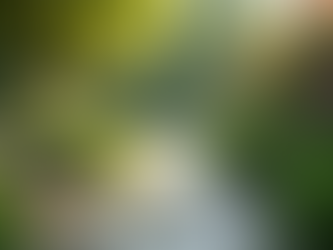 Wills vs Trusts: Understanding Their Differences and Which One Is Right for You