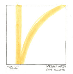 Yolk
