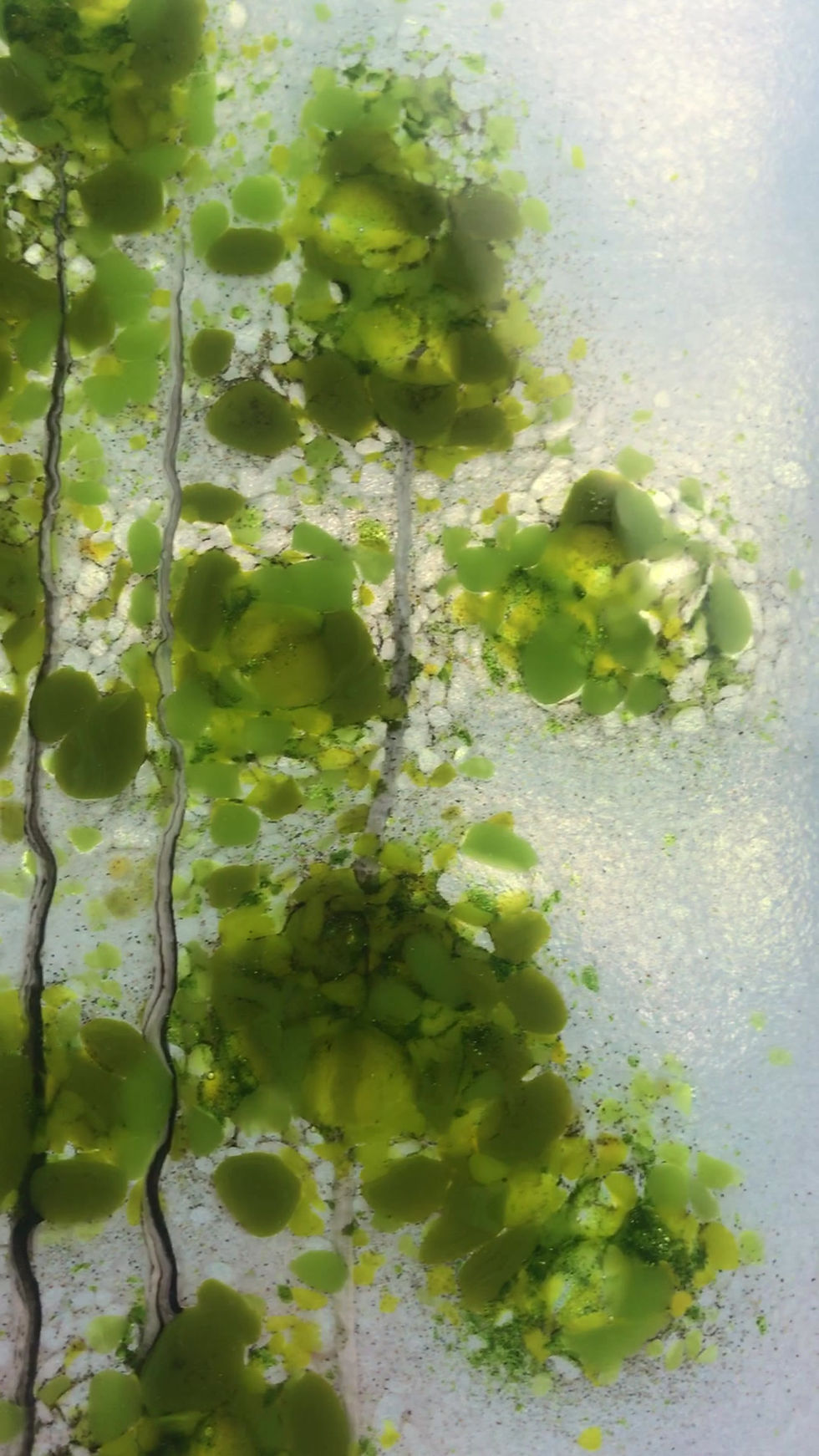 Thumbnail: Spring Sunset #23