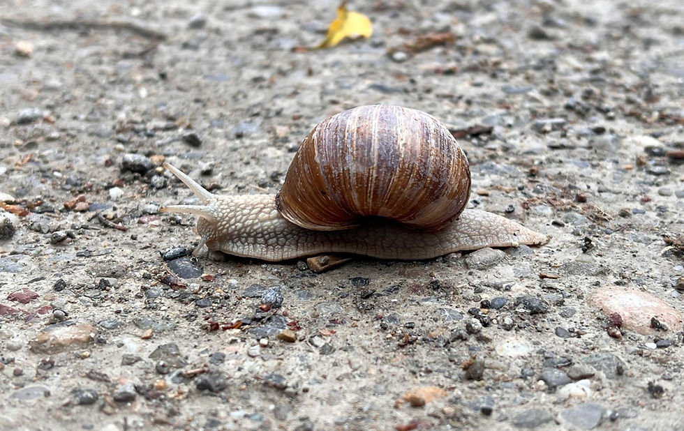 🌿 «Natur. Und du?» Raus aus dem Alltag – rein ins Naturerlebnis