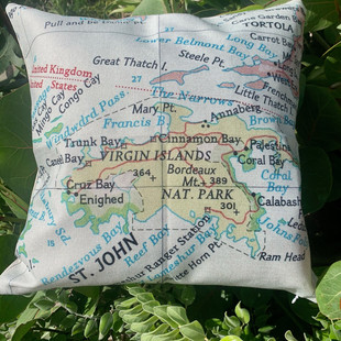 STJ MAP PILLOW 35