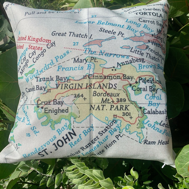 STJ MAP PILLOW 35