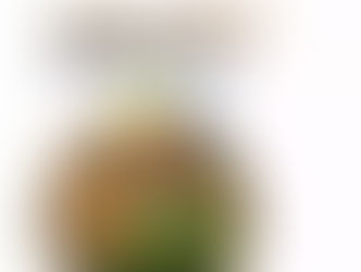 花艺课程 | 花香雅集 学一门插花课程,为生活增添一份雅趣