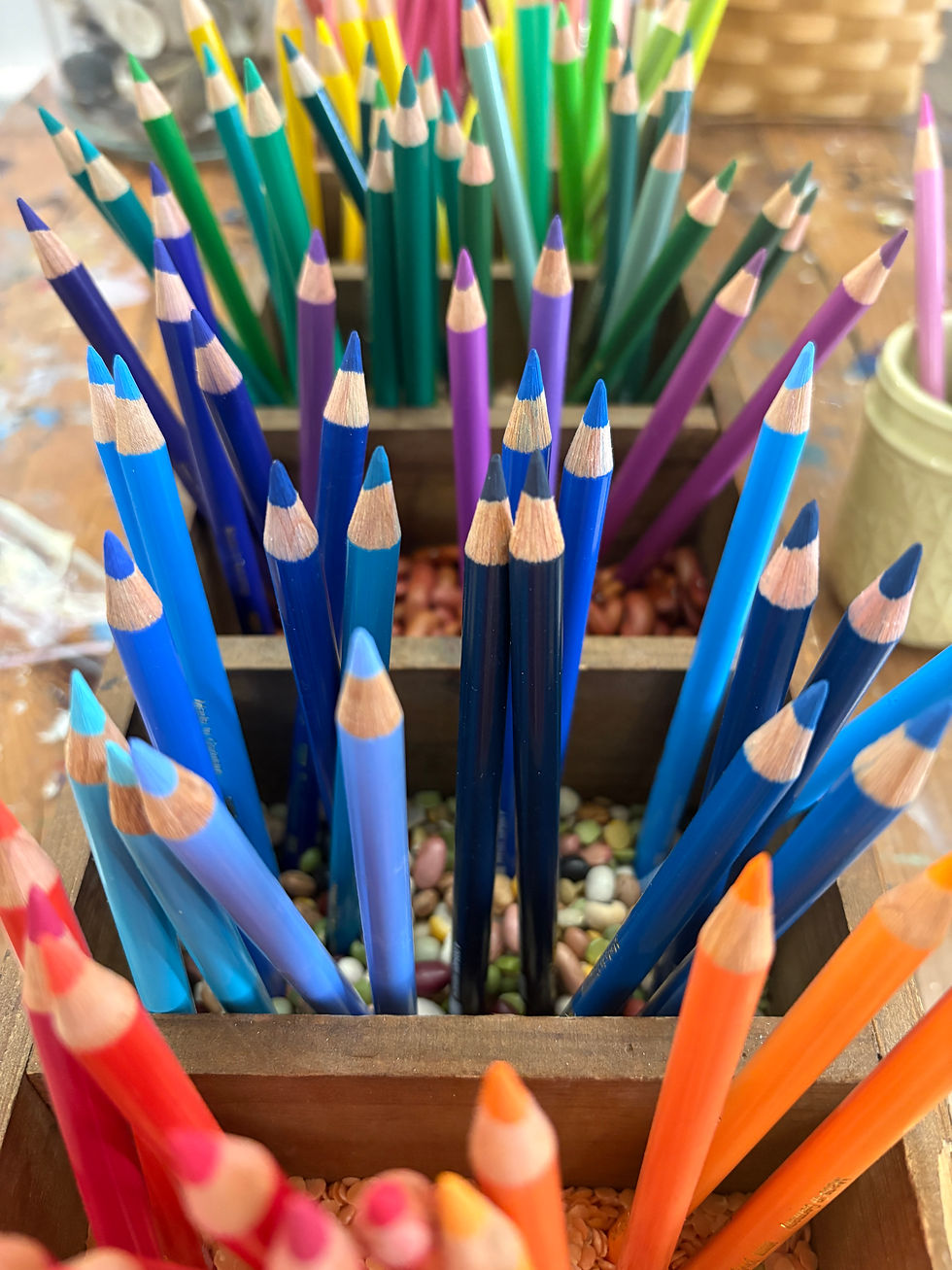 Nature Explorations in colored pencil