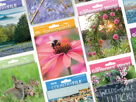 BBC Packaging design plastic-free 