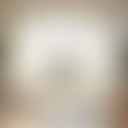 Transform Your Life in the New Year by Choosing to Clear the Clutter with Peaceful Spaces LLC