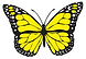 kealani butterfly